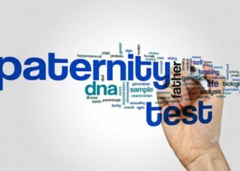 How a Paternity Lawyer Can Help Secure Your Legal Rights as a Father