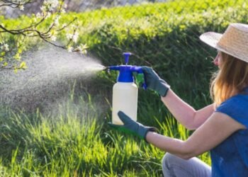 4 Common Mistakes to Avoid When Fertilizing Aquatic Plants