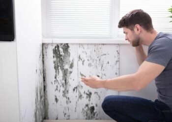 How to Remove Mold from Wood