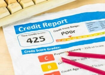 Explore the Benefits of Trade Credit Insurance for Small Businesses