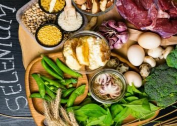 Konala and the Power of High-Protein Foods