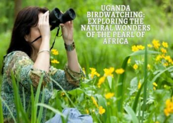 Uganda Birdwatching: Exploring the Natural Wonders of the Pearl of Africa