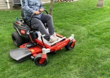 Are Riding Mowers Worth It For Domestic Use?