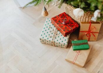 Gift Ideas for the Political Enthusiast