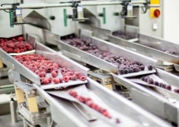 IQF Technology Unveiled: Advantages for Food Companies